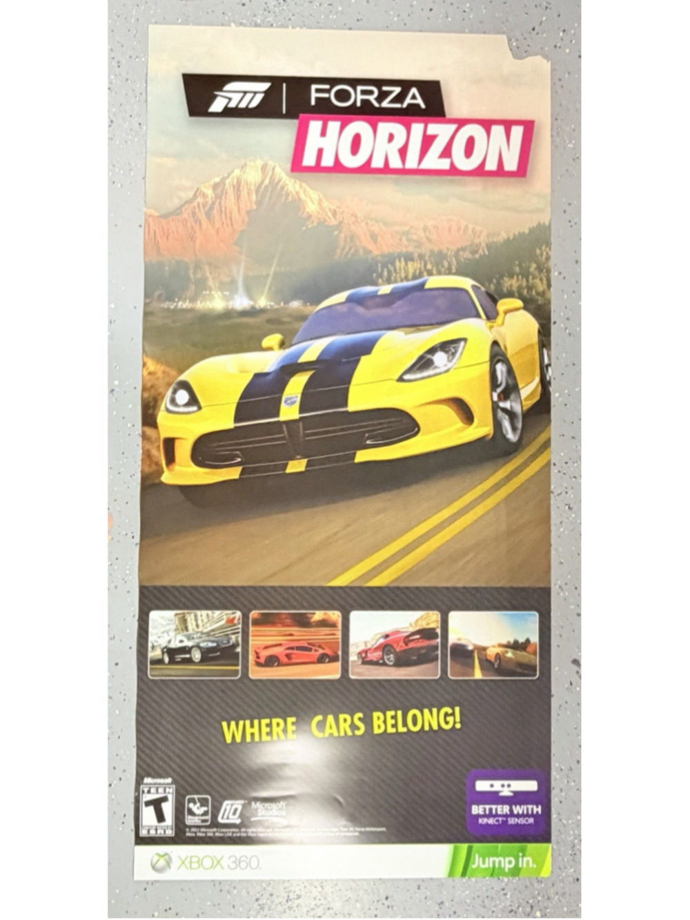 Forza Horizon PVC Plastic Promo Poster Xbox 360 Dodge Viper 28x58